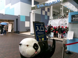 KODAK Digital Still Camera