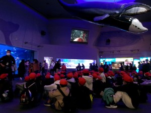 KODAK Digital Still Camera